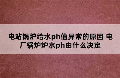 电站锅炉给水ph值异常的原因 电厂锅炉炉水ph由什么决定